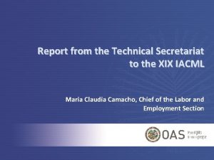 Report from the Technical Secretariat to the XIX