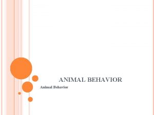 ANIMAL BEHAVIOR Animal Behavior ANIMAL BEHAVIOR Types of