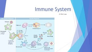 Immune System Ji Min Lee NonSpecific Defense 1