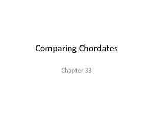Comparing Chordates Chapter 33 33 1 Chordate Evolution