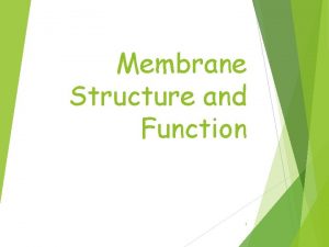 Membrane Structure and Function 1 Is Plasma Membrane