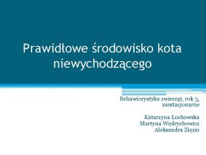 Prawidowe rodowisko kota niewychodzcego Behawiorystyka zwierzt rok 3