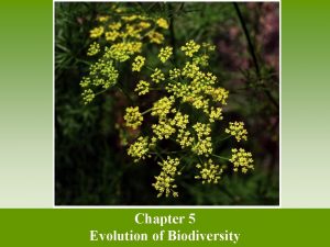 Chapter 5 Evolution of Biodiversity Dung of the
