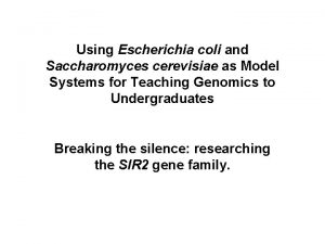 Using Escherichia coli and Saccharomyces cerevisiae as Model