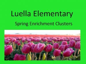 Luella Elementary Spring Enrichment Clusters Enrichment Cluster Information