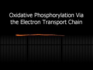 Oxidative Phosphorylation Via the Electron Transport Chain Outline