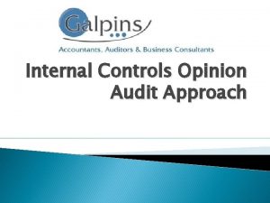 Internal Controls Opinion Audit Approach Audit Opinion Standard