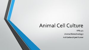 Animal Cell Culture VPB321 Animal Biotechnology Anil GattaniAjeet