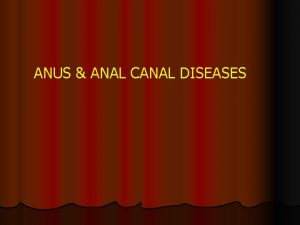 ANUS ANAL CANAL DISEASES Anal Canal The anal