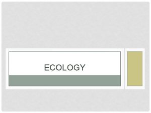 ECOLOGY WHAT IS ECOLOGY Ecology is the study