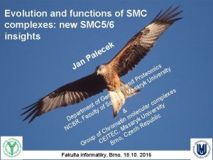 Evolution and functions of SMC complexes new SMC