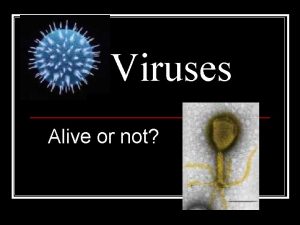 Viruses Alive or not There are many viruses