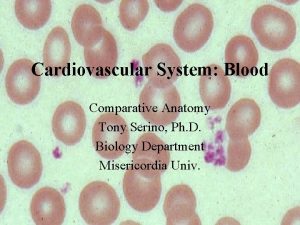 Cardiovascular System Blood Comparative Anatomy Tony Serino Ph