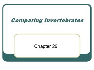 Comparing Invertebrates Chapter 29 Invertebrate Evolution Chapter 29