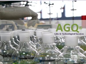 AGQ Labs Technological Services Rodrigo Meza Gerente rea