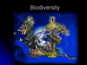 Biodiversity Biodiversity l Biodiversity the number and variety