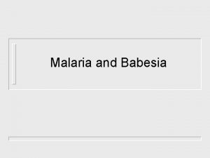 Malaria and Babesia Malaria Plasmodium falciparum Plasmodium vivax