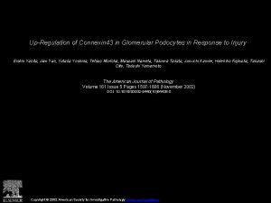 UpRegulation of Connexin 43 in Glomerular Podocytes in