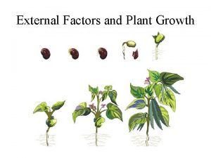 External Factors and Plant Growth Plant Growth Regulators