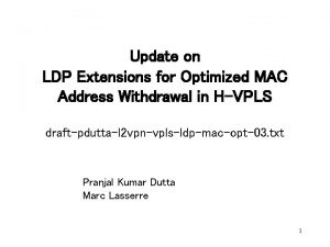 Update on LDP Extensions for Optimized MAC Address