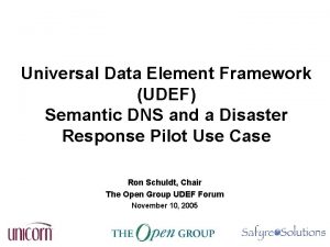 Universal Data Element Framework UDEF Semantic DNS and