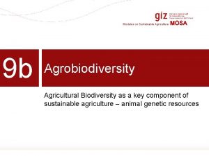 Modules on Sustainable Agriculture 9 b MOSA Agrobiodiversity