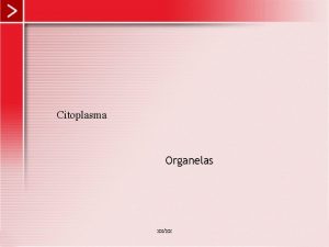 Citoplasma Organelas xxxx Citoplasma O maior volume de