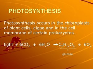 PHOTOSYNTHESIS Photosynthesis occurs in the chloroplasts of plant