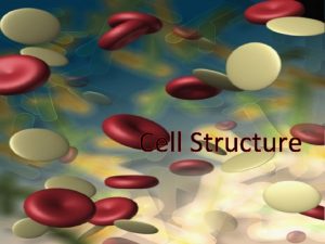 Cell Structure COMMON CELL TRAITS A cell is