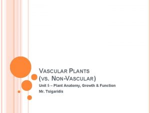 VASCULAR PLANTS VS NONVASCULAR Unit 5 Plant Anatomy
