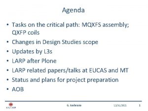 Agenda Tasks on the critical path MQXFS assembly