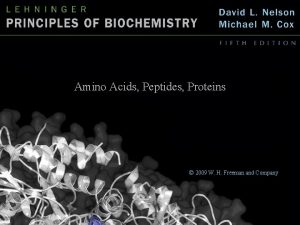 Amino Acids Peptides Proteins 2009 W H Freeman