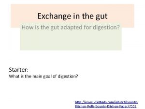 Exchange in the gut How is the gut