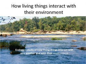 How living things interact with their environment Ecology