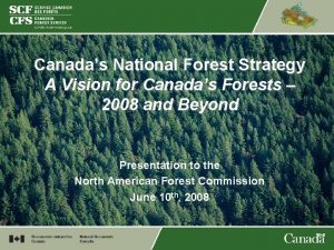 Canadas National Forest Strategy A Vision for Canadas