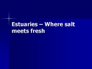 Estuaries Where salt meets fresh What are estuaries