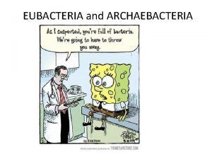 EUBACTERIA and ARCHAEBACTERIA pp 360 372 Classifying Prokaryotes