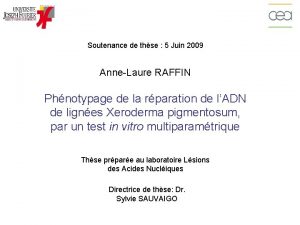 Soutenance de thse 5 Juin 2009 AnneLaure RAFFIN