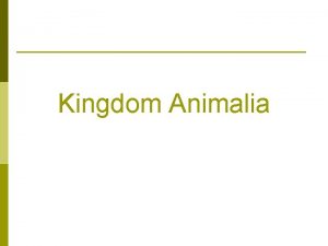 Kingdom Animalia Characteristics Multicellular p Eukaryotic cells lacking