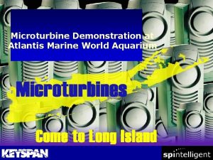 Microturbine Demonstration at Atlantis Marine World Aquarium Unit