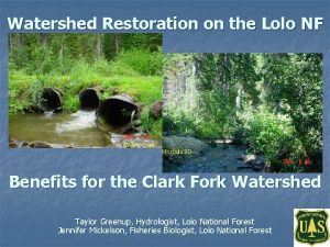 Watershed Restoration on the Lolo NF Swartz Creek