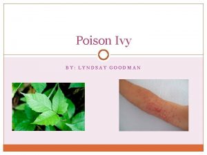 Poison Ivy BY LYNDSAY GOODMAN What is poison