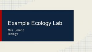 Example Ecology Lab Mrs Lorenz Biology Preset Producer