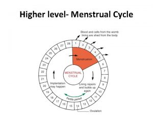 Higher level Menstrual Cycle Hormonal control in the