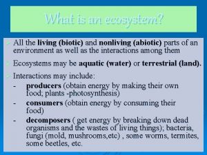 What is an ecosystem All the living biotic