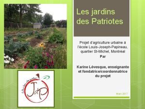 Les jardins des Patriotes Projet dagriculture urbaine lcole