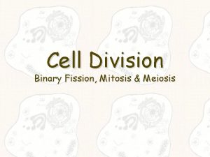 Cell Division Binary Fission Mitosis Meiosis Binary Fission