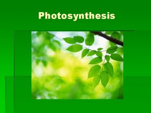 Photosynthesis Overview of Photosynthesis Process by which plants
