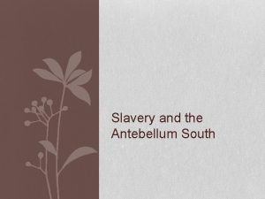 Slavery and the Antebellum South You should be