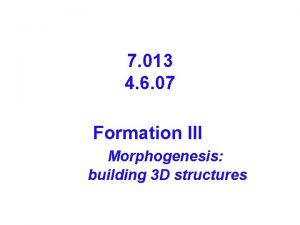 7 013 4 6 07 Formation III Morphogenesis